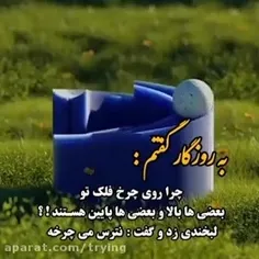 ghazalkaveh1382 40547153