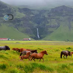 دهکده ویک در جنوب ایسلند یکی از دیدنی ترین نقاط جهان بخصو