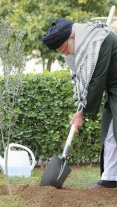 رهبر.عزیزمون+در+روز.درختکاری+هم+بیاد+مردم.مظلوم.فلسطین+هس