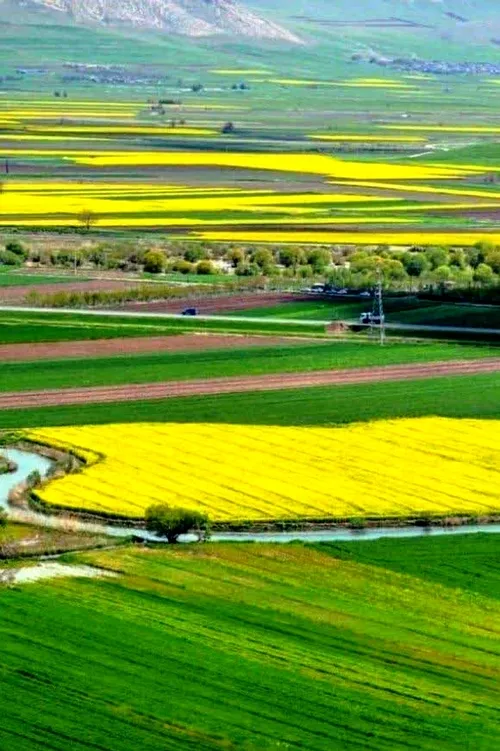 ⬅️طبیعت بهاری روستای نجوبران 😍👌