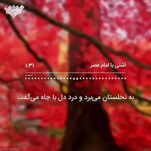 تو کیستی که مادر در دود و آتش نام تو (ولدی مهدی) را بر رو