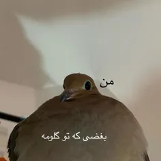 حق