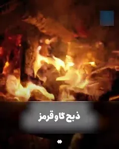 🎥 تازه‌ترین برنامهٔ صهیونیست‌ها برای تخریب مسجدالاقصی چیس