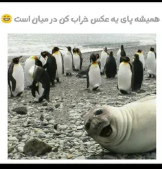 این کار منه 😂