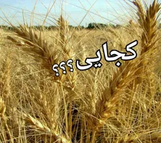 کجایی؟ 