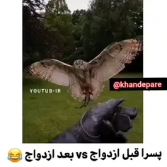 پست بسیار خنده دار  بیست و دو