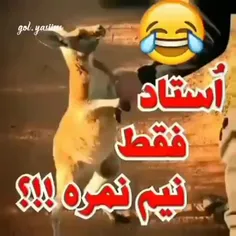 استاااااادددددد جون مادرت 😂😂😂😂😂