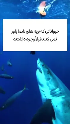 حیواناتی که بچه های شما باور نمی کنند قبلا وجود داشتند😭