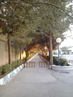 دانشکده ی سیستان و بلوچستان