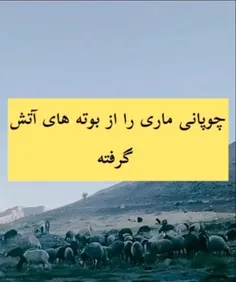 سه اصل مهم در زندگی 