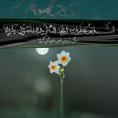 یا_زینب #عشق #اباعبدالله #یاحسین #محرم #کربلا #karbala