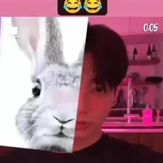 جونگ کوک+خرگوش