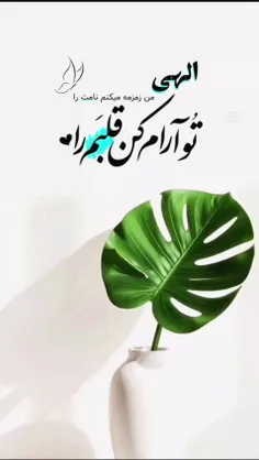 گوناگون faraz1 74265696