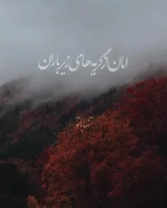 پاییز... ای مسافرِ خاک آلوده