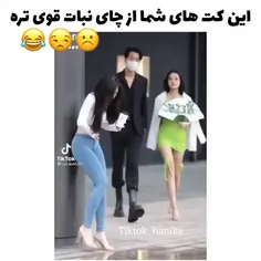 کت های اینا از آب قند ما قوی ترعه😐🤌🏻