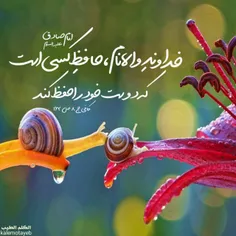 مذهبی nasimnoor 18317869