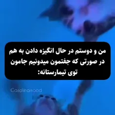 پقیقا منو رفیقمه 😂😂