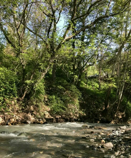 به به چه نسیمی🍃🌹