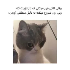 دوست ؟😸