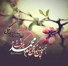 💙 درخلوٺ شب آمنہ زیبا پسرے زاد