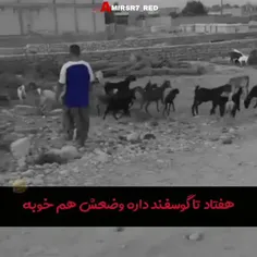 بازم شکر فقیری وضع پولیش خوبه شد😐😂🍭