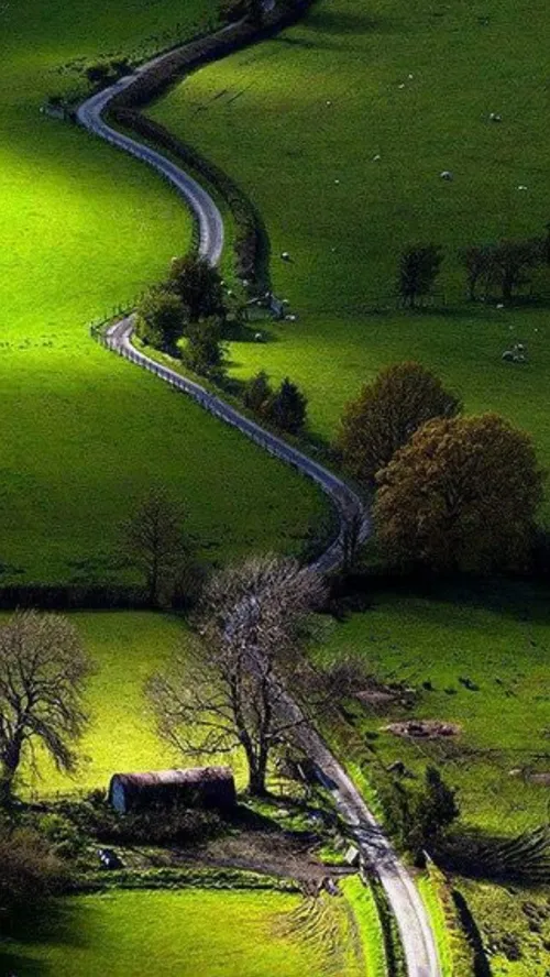 زندگی باهمه ی وسعت خویش