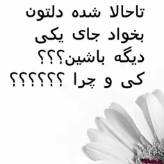 لطفا Cm بزاریـــــد