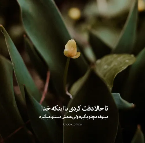 یا ستار العیوب