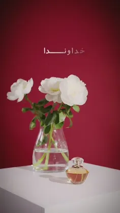 💞تقدیم به همه ی پدر های عزیز 💞