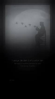 بیت آخر را نگفتم  🌸