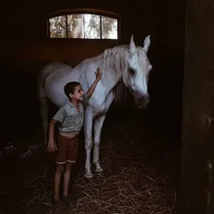 A child plays with a horse in a stable. Photo by @hadeerm