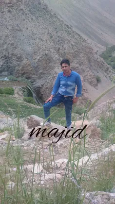 گوناگون majidzs 13709323