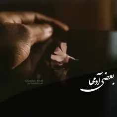 کلیپ ناب شبانه 👌