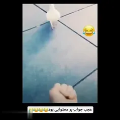 واقعا چه قدر پر محتوا اخه😂