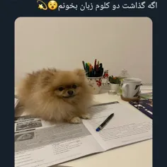 چه نازه 🥹😂