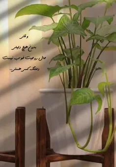  دلتنگی 