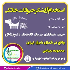 استخدام آرایشگر حیوانات خانگی در تهران ( دیباجی )