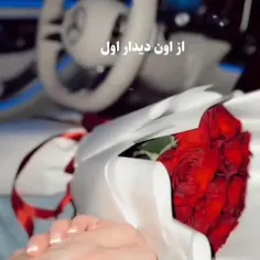 عشقم از اون دیدار اول دل من و بردی