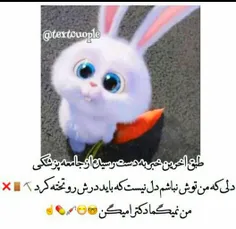 ن واقن بنظر شما دل هس؟؟؟😌 😌 😌 بعله میدونم نیس