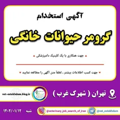 استخدام گرومر حیوانات خانگی به صورت پاره وقت در یک کلینیک