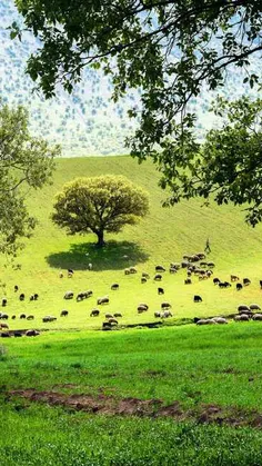 ایران زیبا. استان لرستان