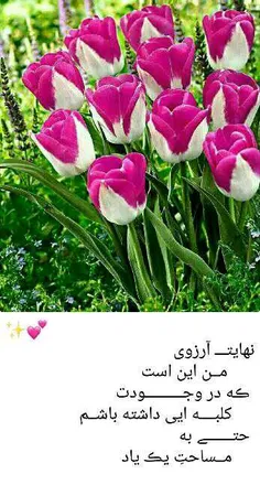 عاشقانه ها hosseinnaseri1300 19357861