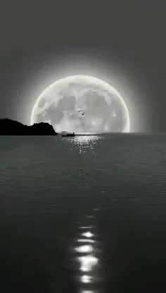 ماه شب تارم🤍🌙