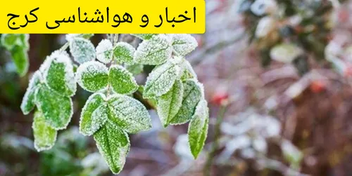 محمد رضا فلاح نژاد، مدیرکل مدیریت بحران استانداری البرز، 