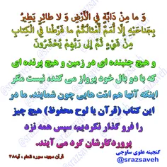 #کلام_وحی #روزی_یک_آیه_از_قرآن_مجید						