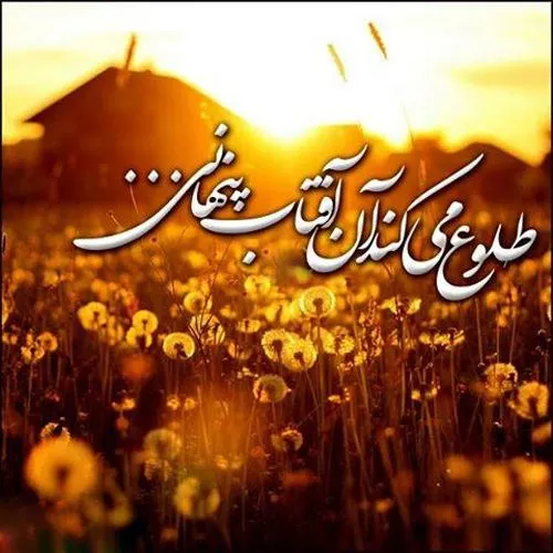 گر نیایی تا قیامت انتظارت می کشم🌹