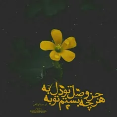 صبحت بخیر ذکر مدام فرشته ها💚💚💚