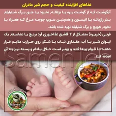✅ غذاهای افزاینده کیفیت و حجم شیر مادران