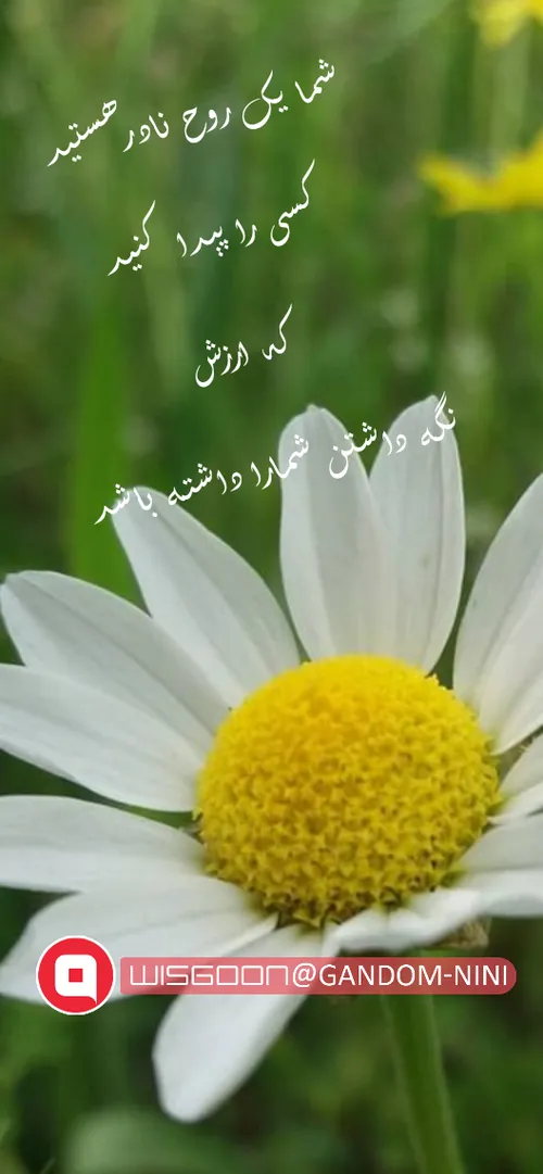 خودتون رو به کسی بسپارید