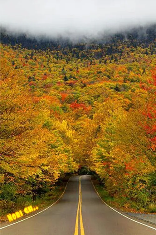 طبيعت زيبای پائیزی کوهستانی....